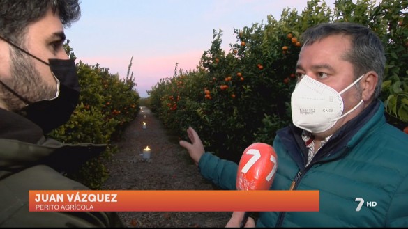 Una empresa murciana crea estufas de parafina para evitar las heladas