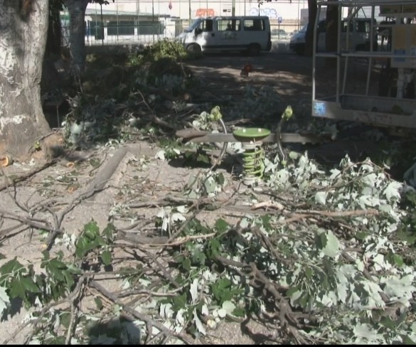 Una gran rama de árbol se desploma sobre un parque infantil en Cartagena