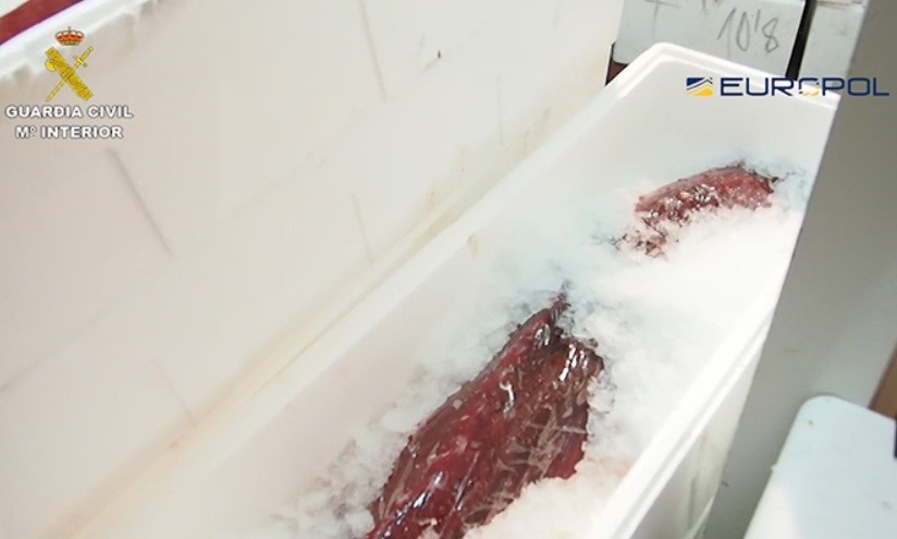 Detenidas 79 personas, 5 en Murcia, por vender atún de pesca ilegal y sin sello sanitario