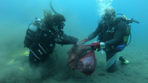 Retiran 200 kilos de basura marina en la playa de Bolnuevo de Mazarrón