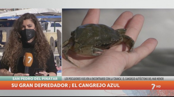 Los pescadores se reencuentran con las crancas del Mar Menor