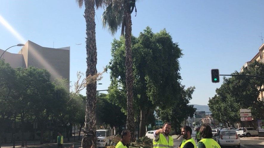 El Ayuntamiento de Murcia trabaja en la mejora estética de la ciudad con motivo de la Feria