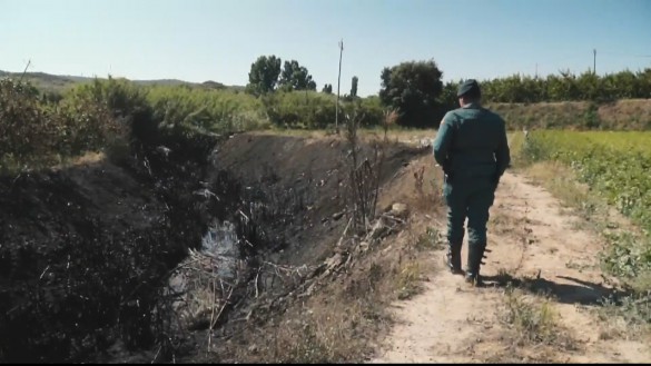 CehegÃn sufre otro incendio forestal intencionado, el tercero en tres dÃas