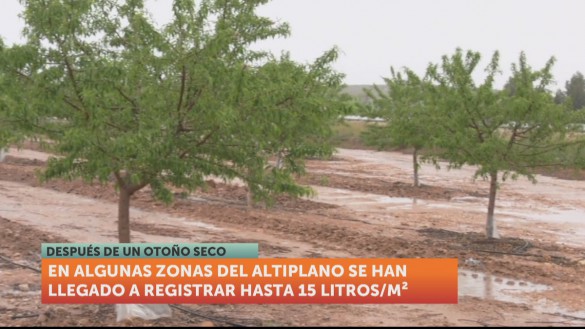 La lluvia da una tregua al campo