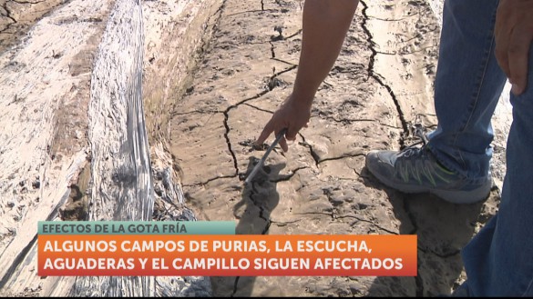 La Comunidad de Regantes reclama un Plan de Infraestructuras Hídricas
