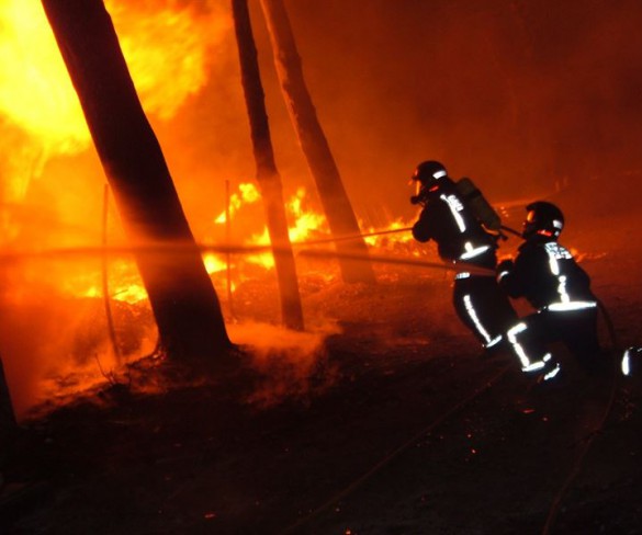 El riesgo de incendios forestales es extremo en la mayor parte de la Región