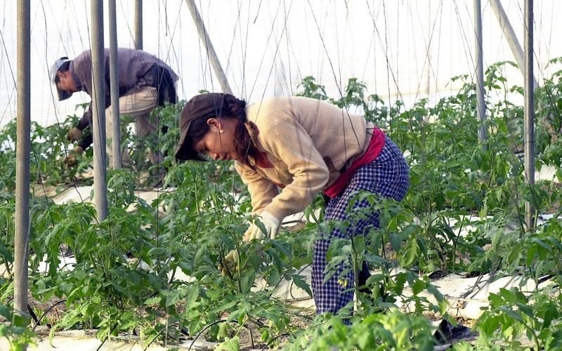La Región de Murcia tiene casi 28.000 parados de larga duración menos en un año