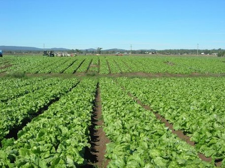 Asaja Murcia reclama un plan eficaz de internacionalización para el sector agroalimentario murciano