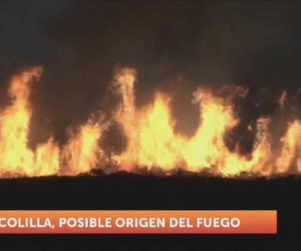 Una colilla arrojada desde un coche pudo encender el incendio de Lo Poyo