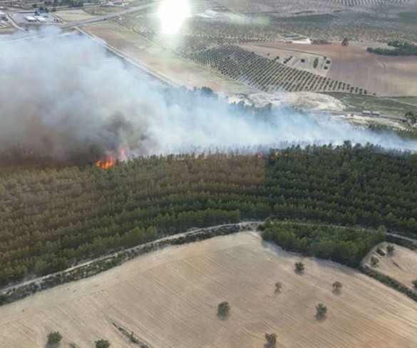 La sequÃa y la ola de calor triplican los incendios forestales provocados por rayos