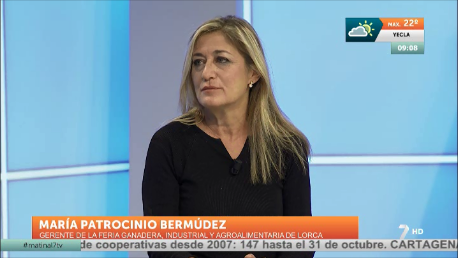Sepor 2016 podrÃa celebrarse en dos recintos de Lorca