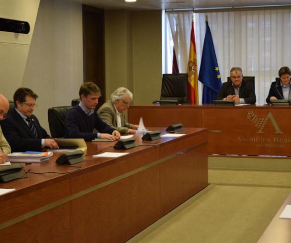 Unanimidad en la Asamblea para eliminar los 11 pasos a nivel sin barreras que hay en la Región