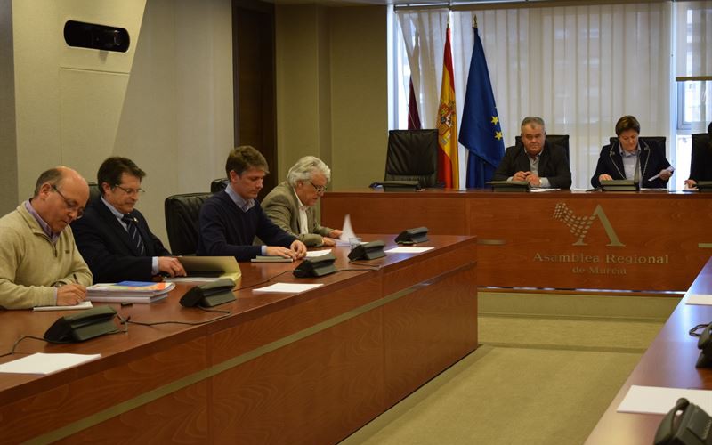 Unanimidad en la Asamblea para eliminar los 11 pasos a nivel sin barreras que hay en la Región