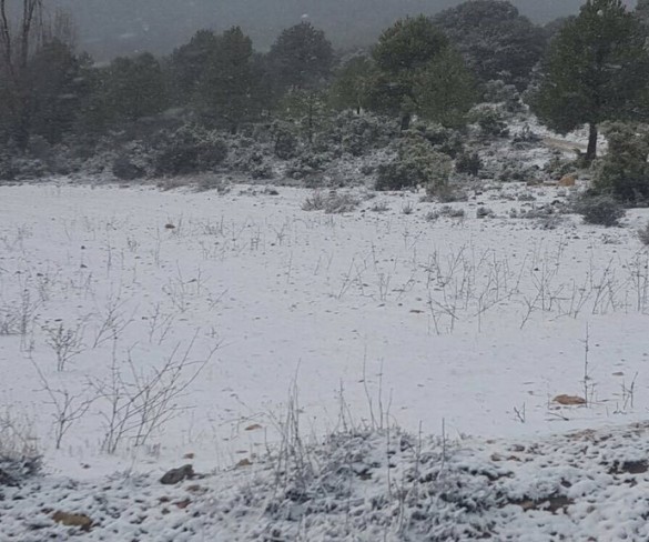 La Aemet activa el aviso amarillo por temperaturas de hasta -4º en el Noroeste
