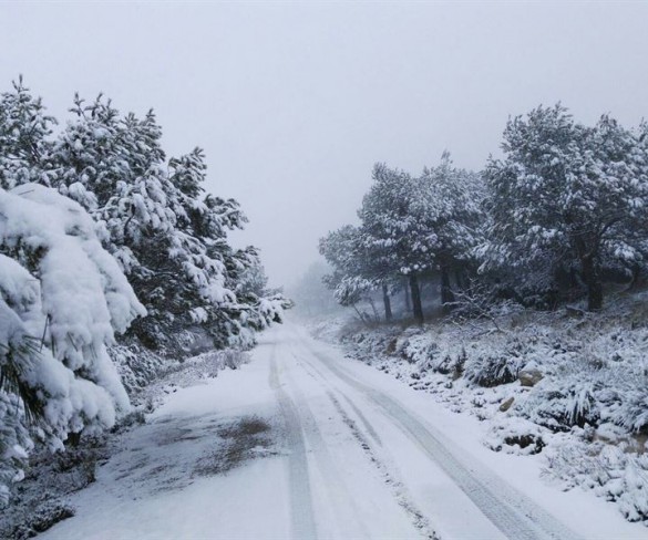 Murcia despide este domingo el invierno más cálido de los últimos 50 años