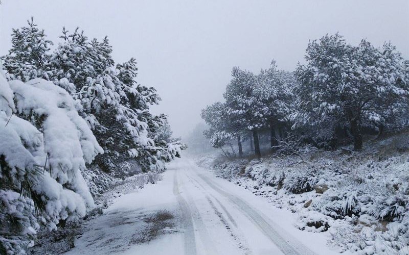 Murcia despide este domingo el invierno más cálido de los últimos 50 años