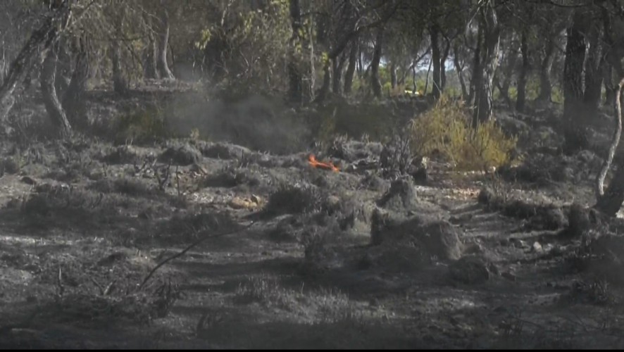 El incendio de Yecla se ha cobrado 1,6 hectáreas de monte calcinado