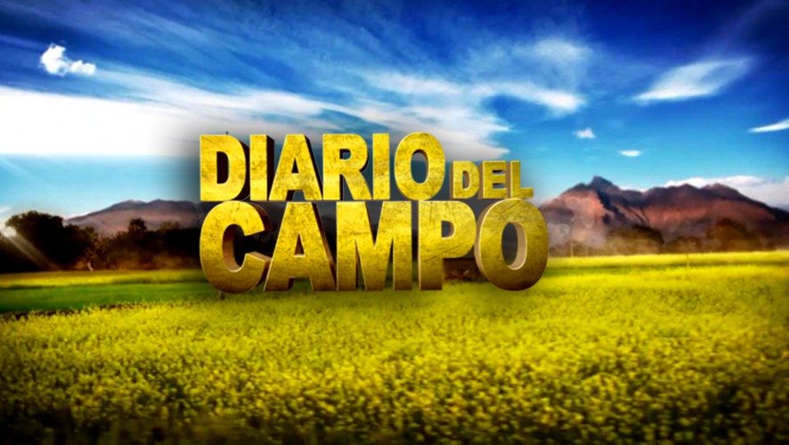 Primera edición de los Premios Diario Del Campo