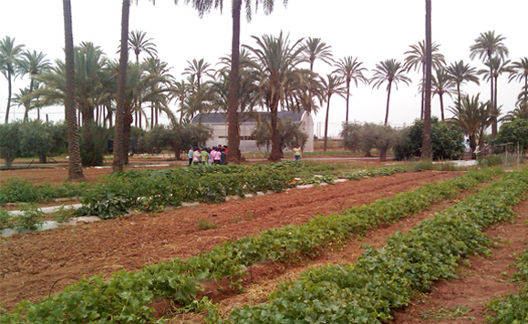 La Estación Experimental Agroalimentaria Tomás Ferro, premio Diario del Campo