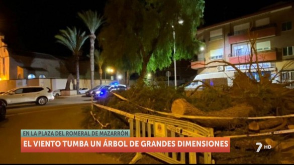 Las fuertes rachas de viento provocan caÃdas de árboles en Mazarrón y Murcia