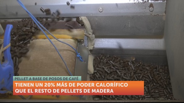 Una empresa yeclana, pionera en transformar el café en pellet