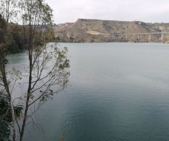 Los embalses de la Cuenca del Segura se encuentran al 43% de su capacidad