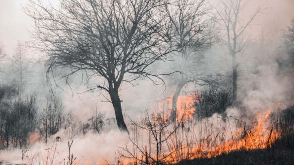 Sólo el litoral se salva del riesgo extremo de incendio en la Región
